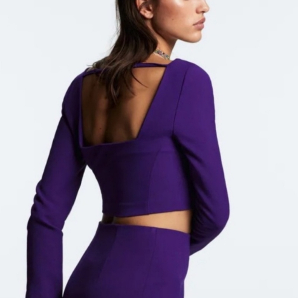 NWT Zara Purple Cropped Long Sleeve Open Back Top, Size S
